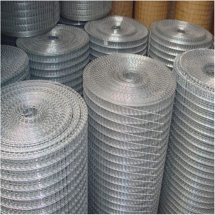 Electric Galvanized welded wire mesh 